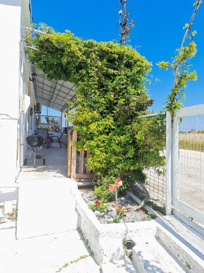 Livadi House Villa Theologos  Exterior photo
